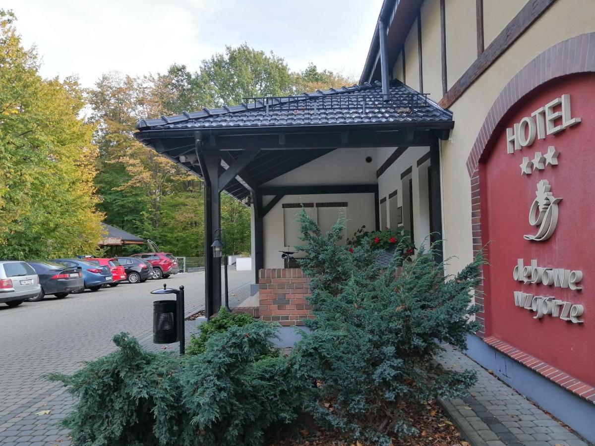 Dębowe Wzgórze Wellness&spa 3* Jarnołtówek